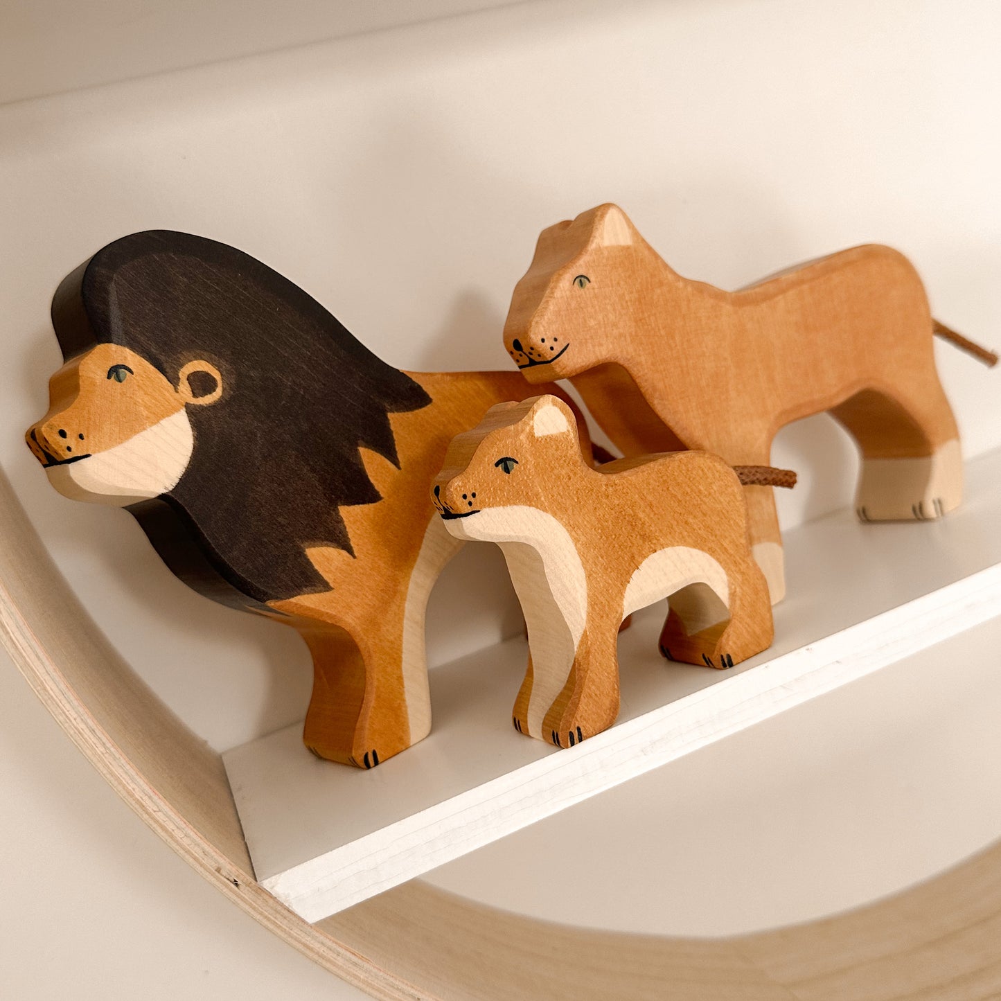 Holztiger | Wildernis | Welpje
